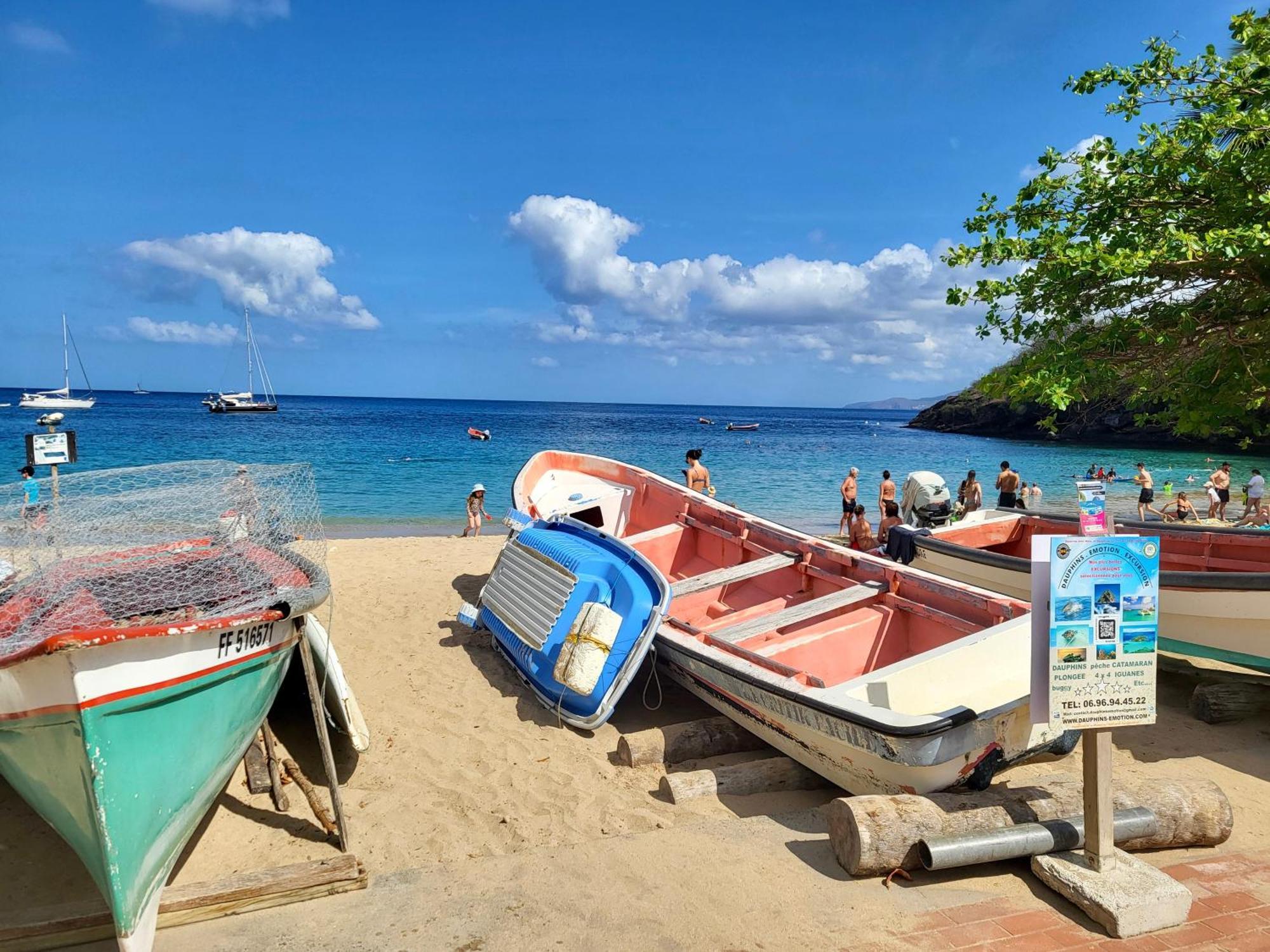 Vue Magnifique Sur La Nature , Proche Des Plages 4 A 6 Pers Rivière-Pilote Dış mekan fotoğraf